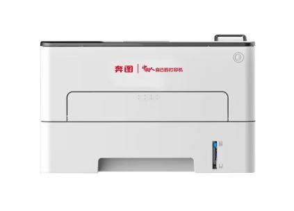 磁盘阵列 奔图/PANTUM 奔图/PANTUM P3305DN/ A4 黑白激光打印机 外接式 1TB